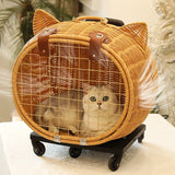 Manufacturer Direct Selling Large Space Pet Travel Carrier