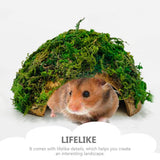 Reptile Hideout House Terrarium Tank Hamster Shelter Tortoise