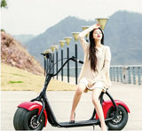 cheap electric scooter 1500w citycoco adult electric motorcycle