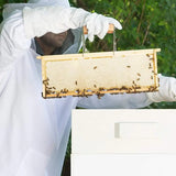 Beekeeping Suit Professional Beekeeping Supplies Cotton Suit With