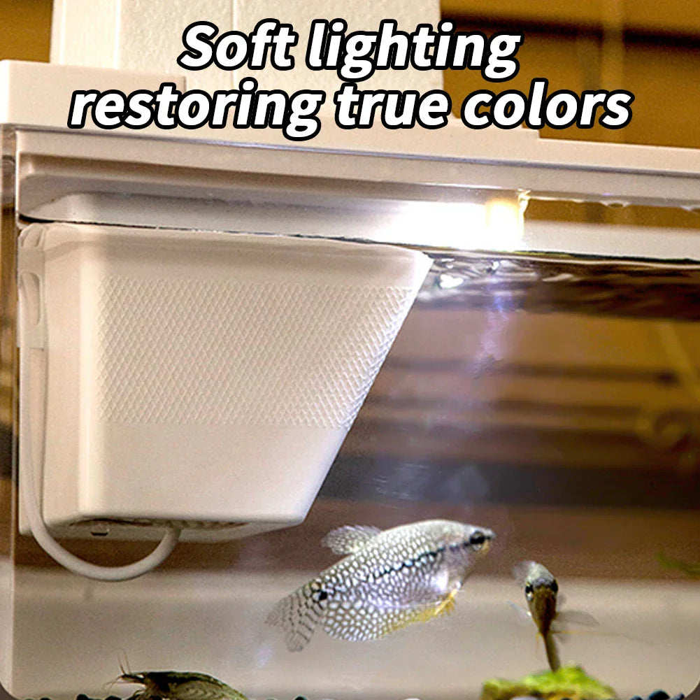 1PC Fish Tiny Fish Tank Office Small Betta