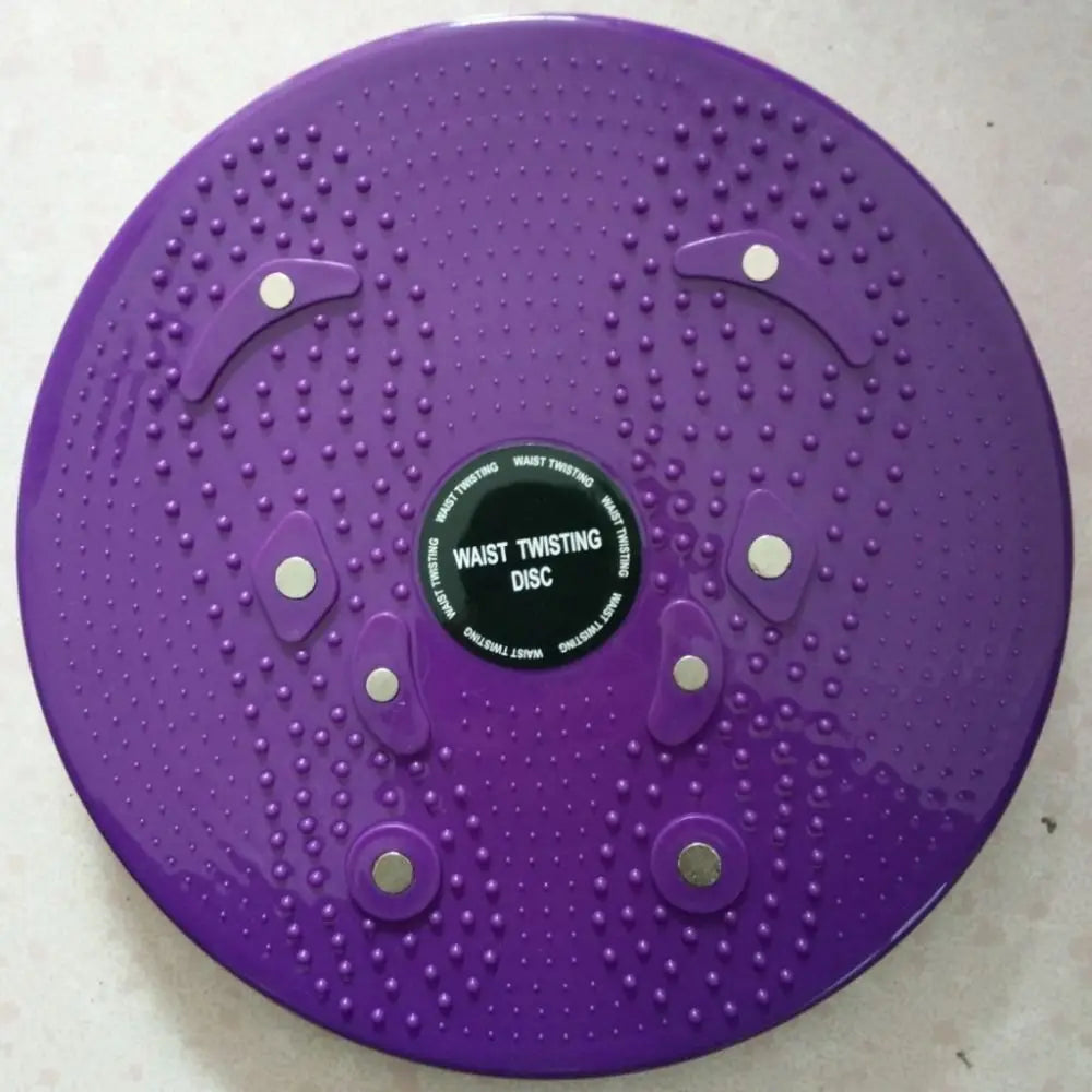 25cm(9.84in) Waist Twisting Disc PP Magnet Twist Board