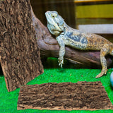 Bark Reptile Cork Tree Terrarium Background Climbing Tank