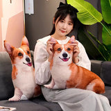 3D Simulation Dog Shiba Inu Bulldog Labrador Corgi