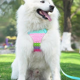 Dog Vest Harness Pug Outdoor Walking Leash Harness