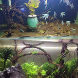 Wood Aquarium Driftwood Creative Rainforest Style Slender Aquarium