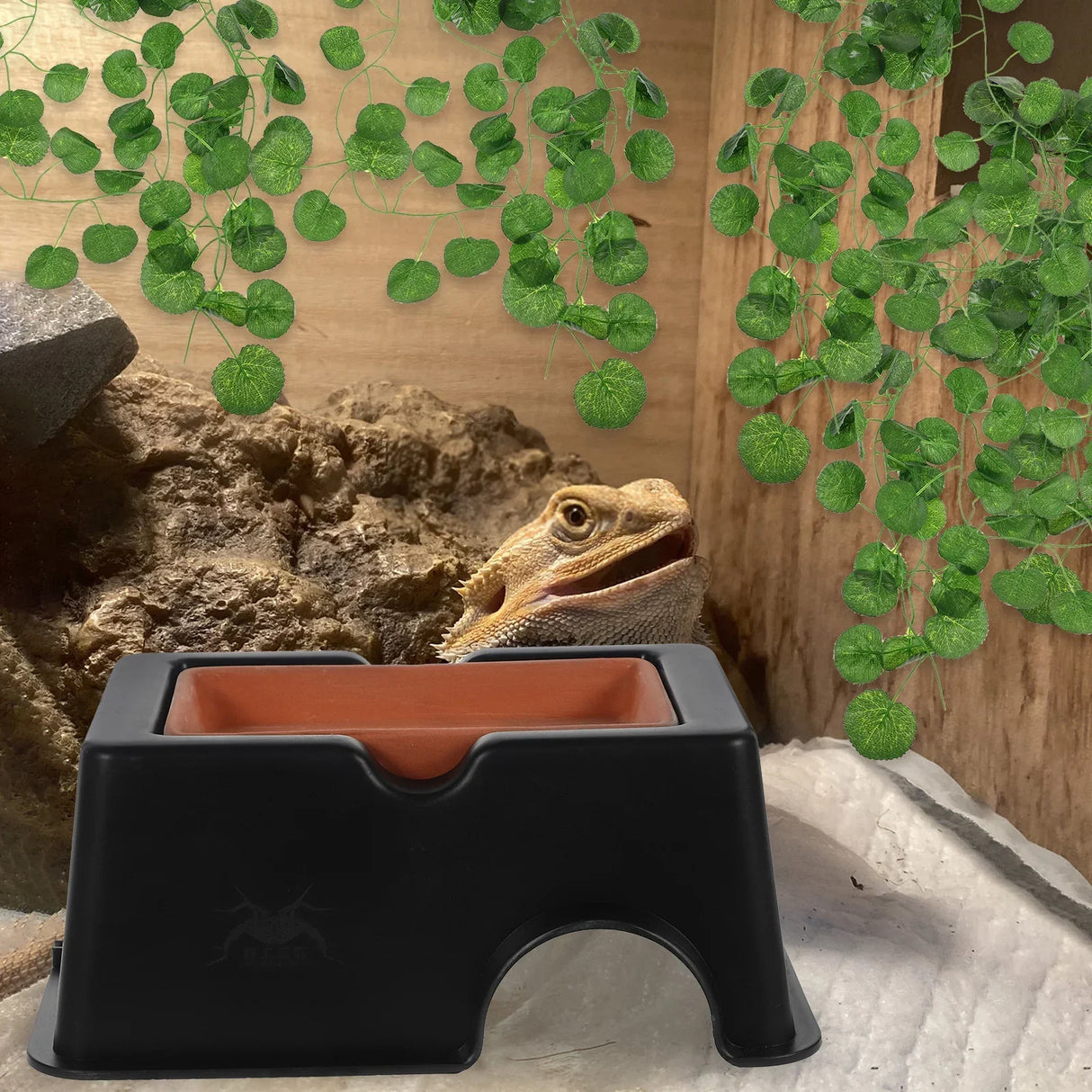Reptile Pet Hide Cave Artificial Tortoise House Reptile