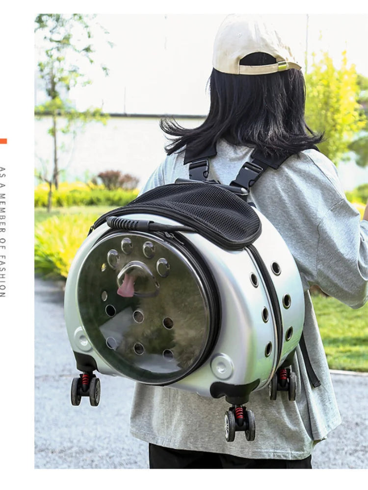 Pet Dog Cat Trolley Suitcase Luggage with Wheels
