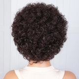 Pixie Short Afro Curly Bob Human Hair Wigs