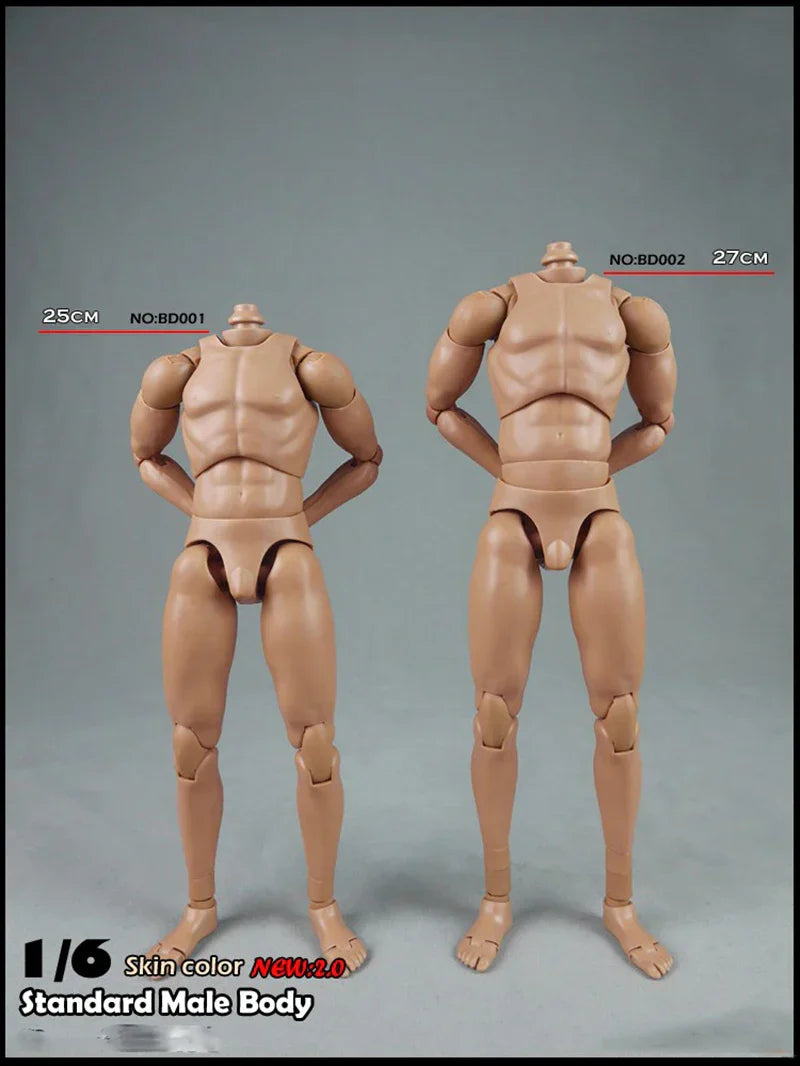 COOMODEL 1/6 Standard Muscle Male Soldier Body MB001