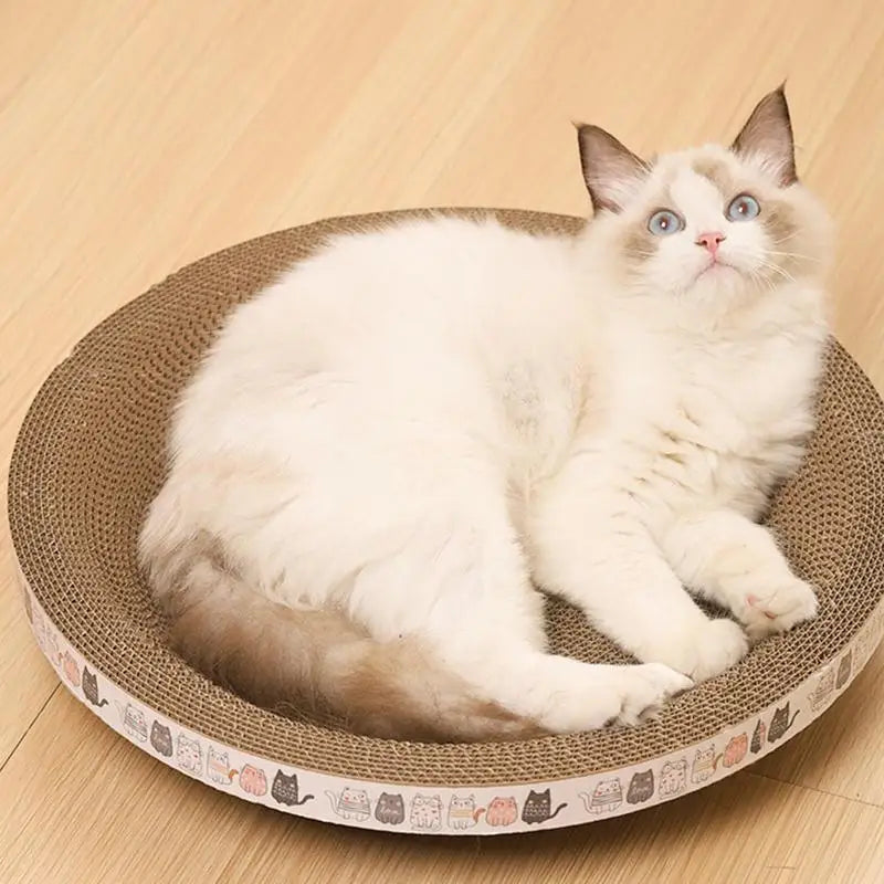 Cat Scratcher Bowl Bed Heavy Duty Cat Scratcher