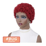 Kinky Curly Wigs Short Wigs for Black Women