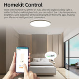 Zemismart Tuya Zigbee 24W Smart LED Ceiling Light