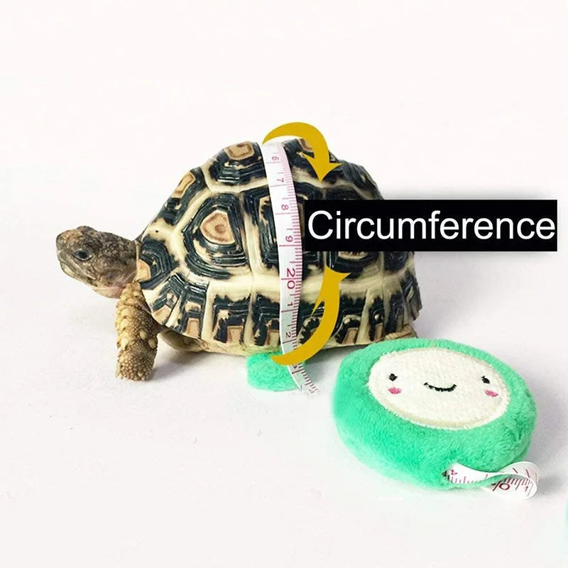 Dragon Lizard Leash Harness Turtle Leash Tortoise Harness