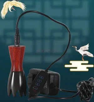 Bianstone warm moxibustion instrument facial rib stick moxibustion
