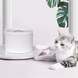 Cats Automatic Water Dispenser Bowls Feeding & Watering