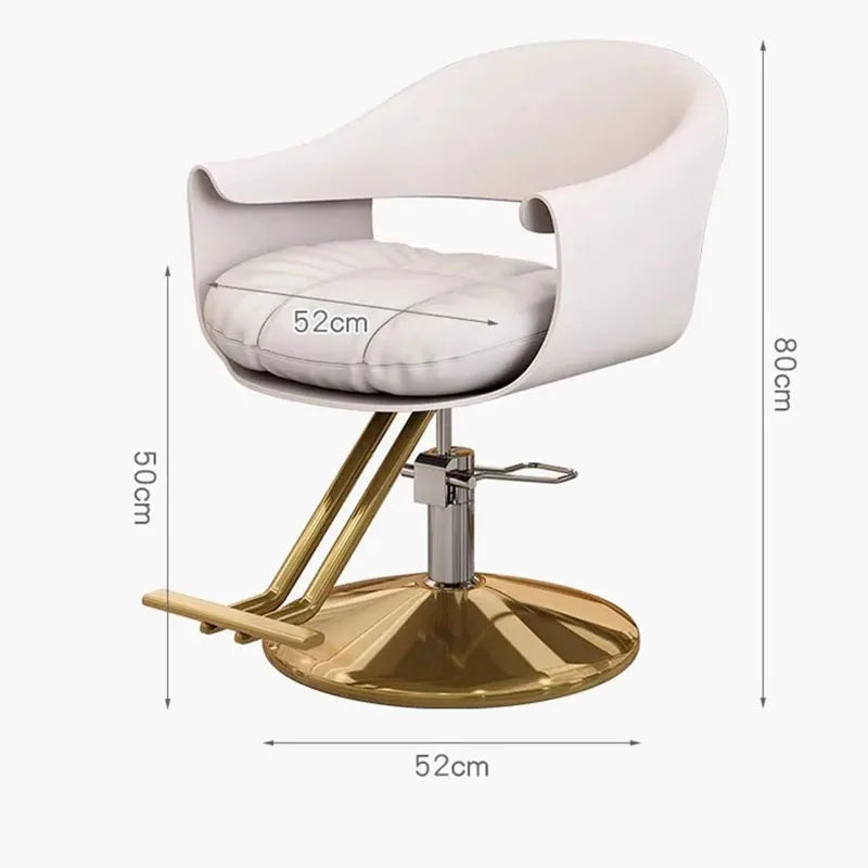 Portable Barbershop Barber Chair Beauty Salon Comfort Luxury