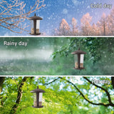 2-in-1 Bird Feeder for Garden Weather Resistant Metal