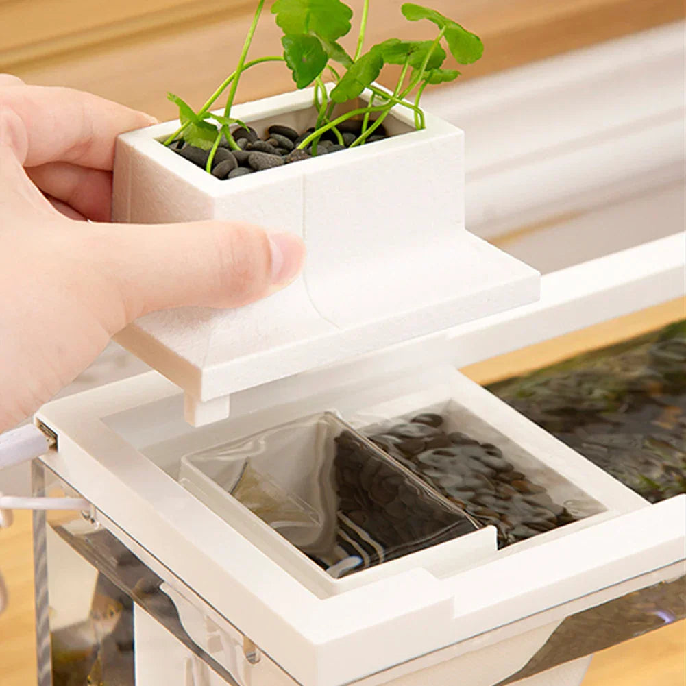 1PC Fish Tiny Fish Tank Office Small Betta