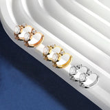 TBCYD 5mm D Color Moissanite Hoop Earrings For