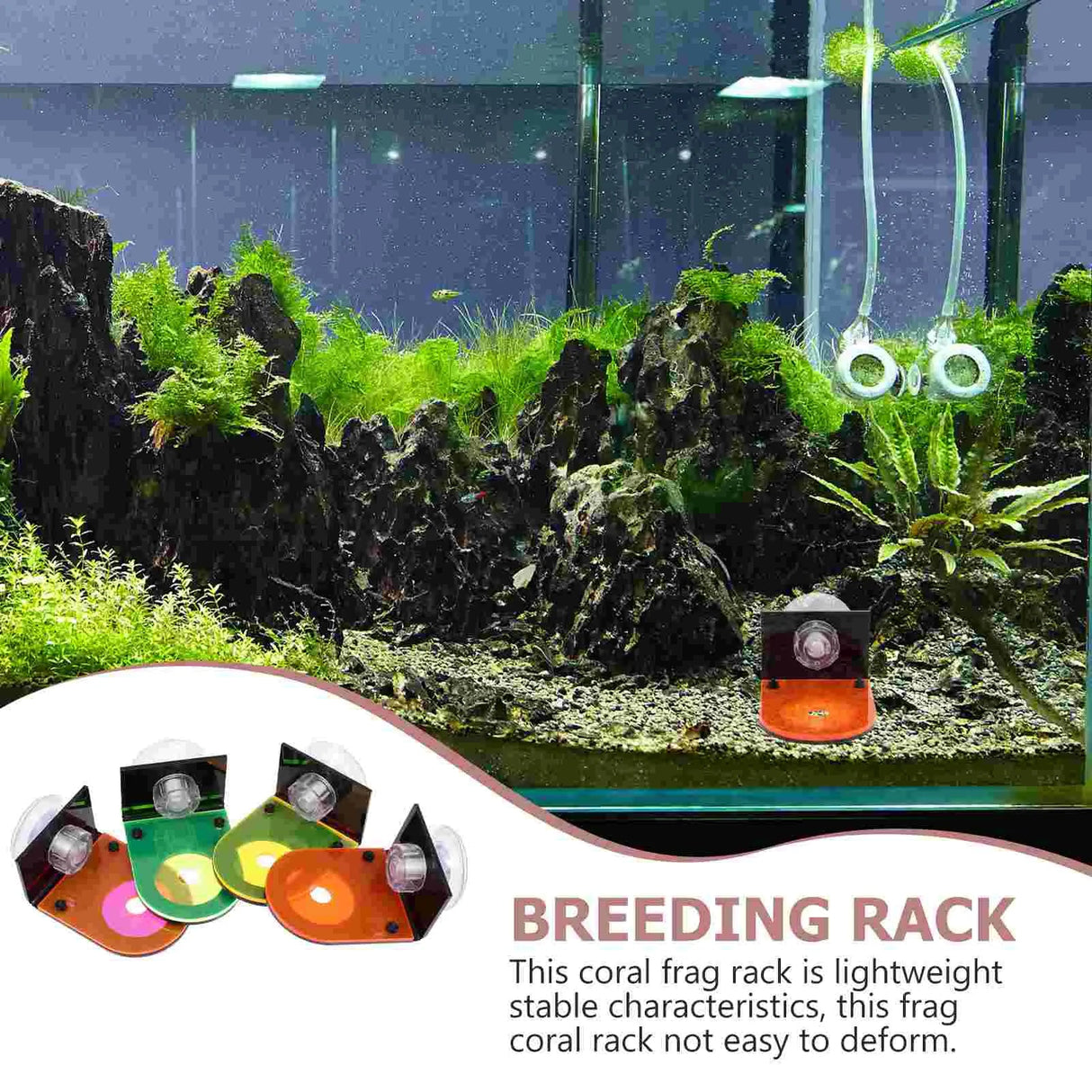 4 Pcs Fish Tank Coral Support Frag Rack