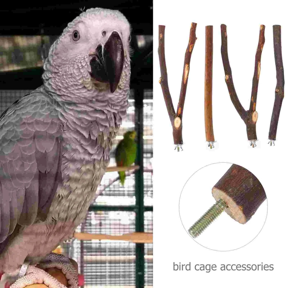 4 Pcs Parrot Standing Stick Bird Cage Accessories