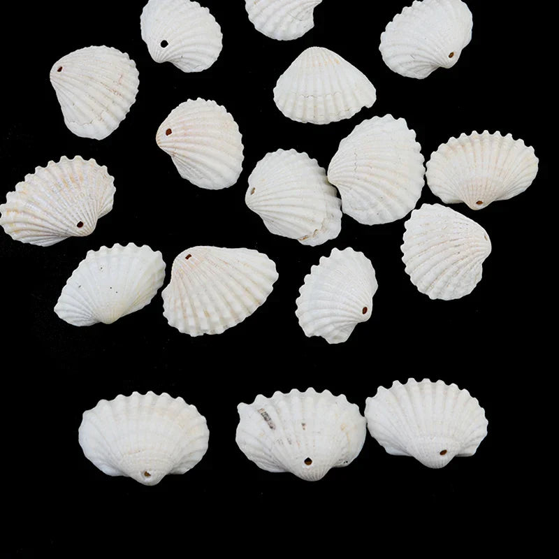 50pcsLot White Sea Shell Beads for Jewelry Making