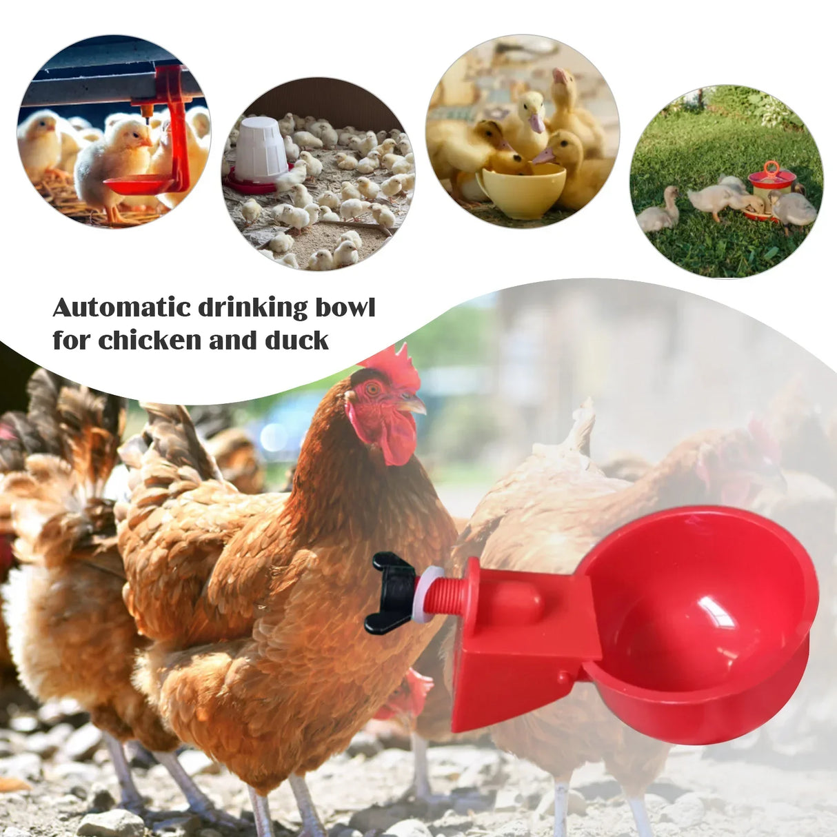 6Pcs Poultry Drinking Bowl Feeder Automatic Chicken Drinker