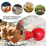 6Pcs Poultry Drinking Bowl Feeder Automatic Chicken Drinker