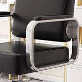 Gold Salon Beauty Barber Chair Luxury Personalized Lifter