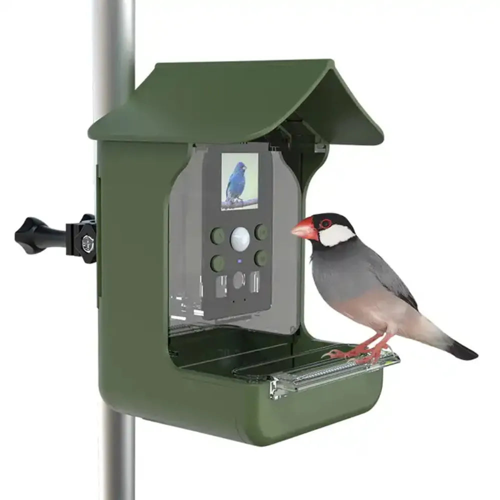 Outdoor Garden Waterproof Smart Window Bird Feeder Wildlife