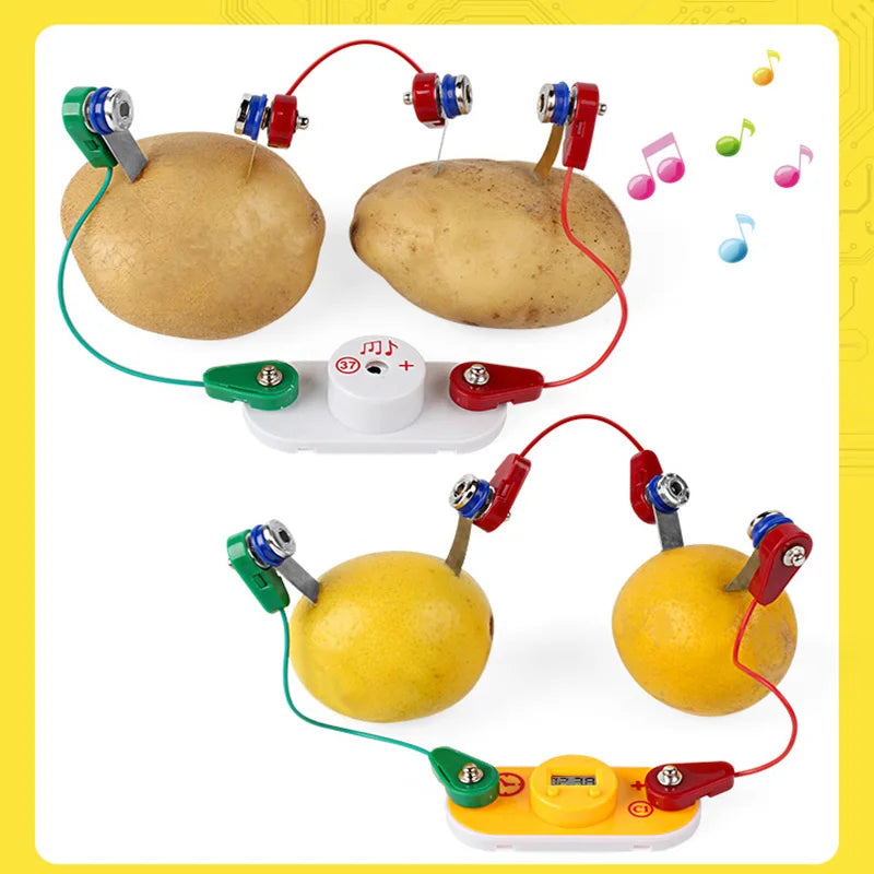 Kids Montessori Toy Fruit Potato Dry Battery Educational