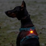 Truelove Waterproof Dog Led Lights Usb Charge Pet