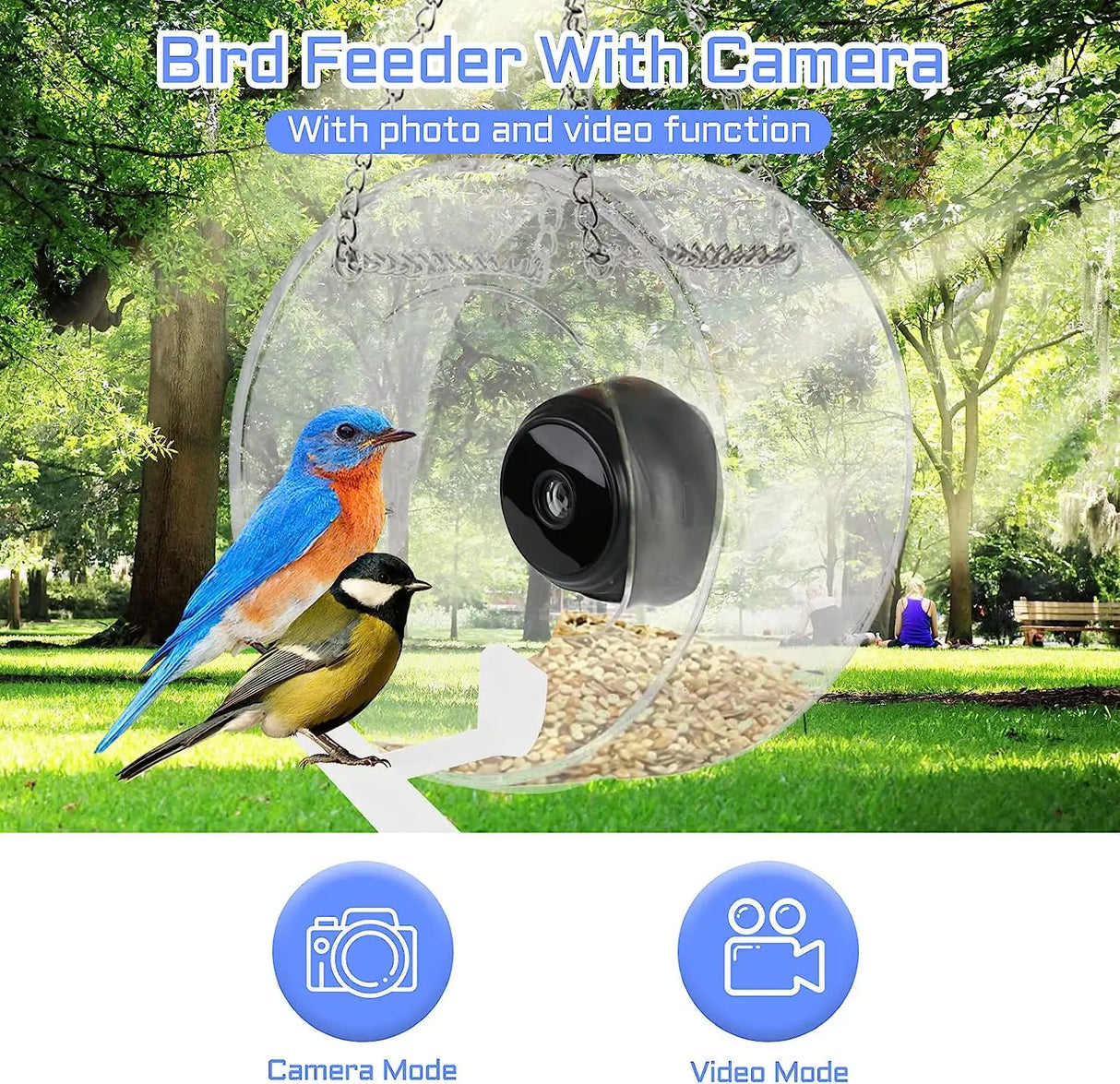 Bird Feeder with Camera, Acrylic Hanging Smart Bird