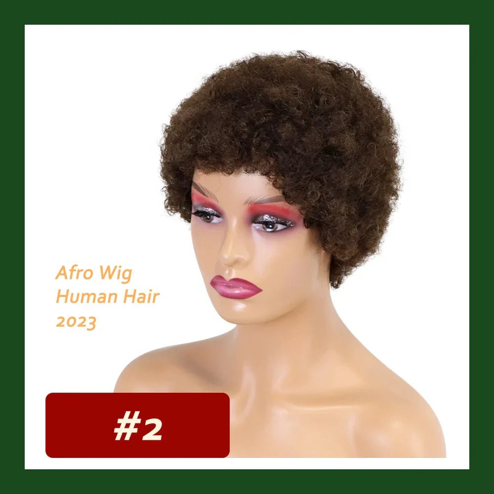 Kinky Curly Wigs Short Wigs for Black Women