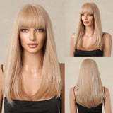 Blonde with Brown Highlight Long Straight Synthetic Wigs