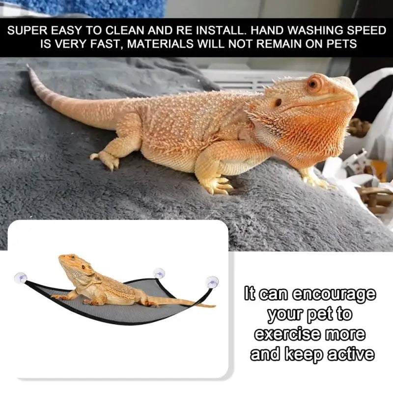 2 Pack Bearded Dragon Hammock Lizard Lounger Ladder