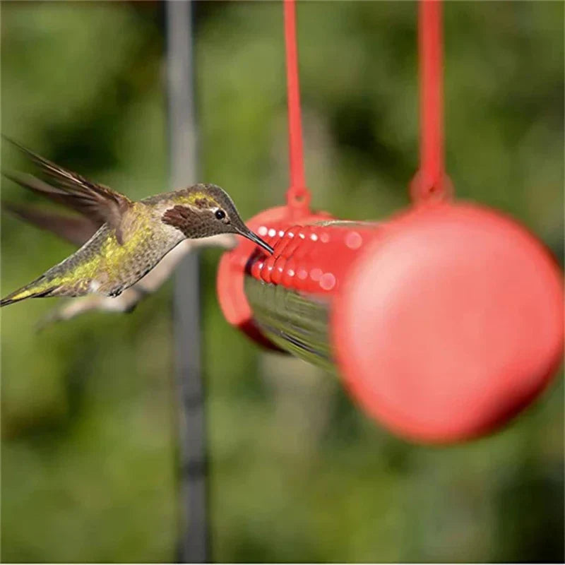 Hummingbird Feeder with Hole Birds Feeding Transparent Pipe