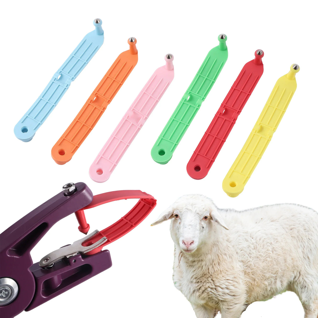 20 Pcs Sheep Ear Tag Poultry Farm Animal