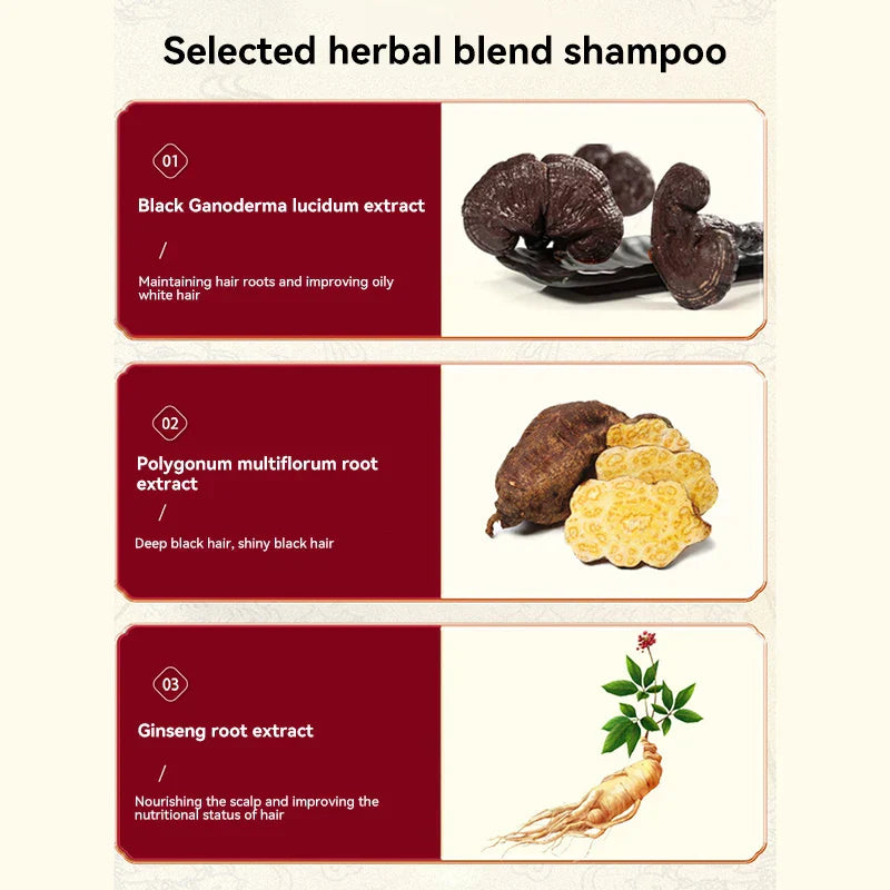 240ml Ginger Plant Extract Anti-Hair Loss Hair Shampoo