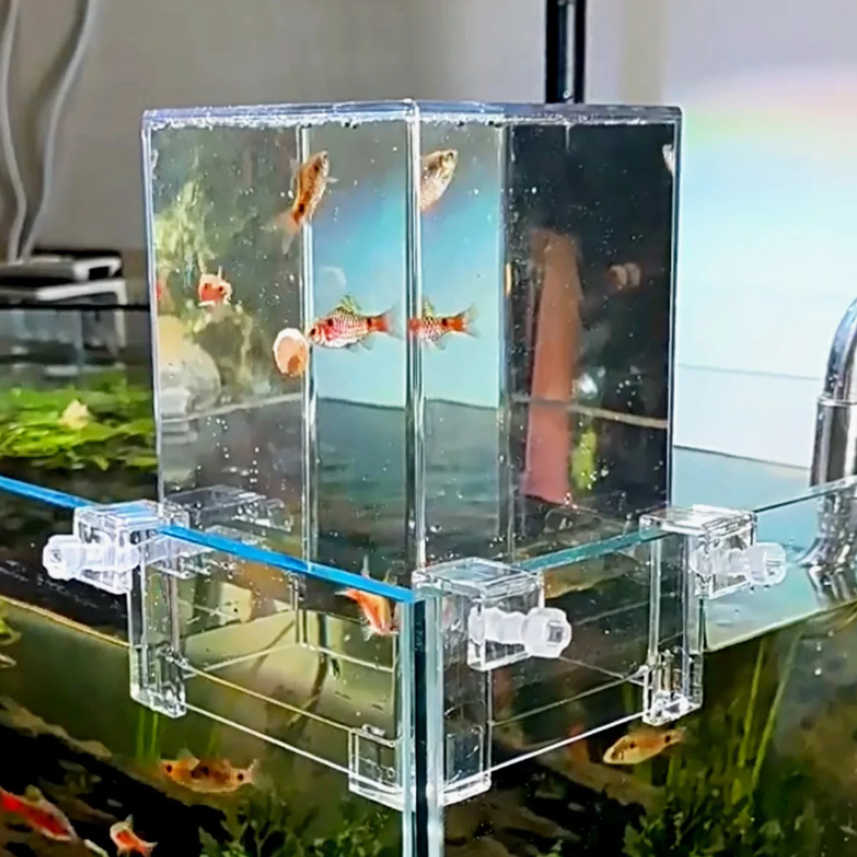 Negative Pressure Fish Tank Suspended Fish Elevator Fish