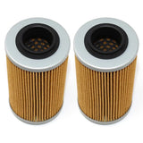 2X Engine Oil Filter For 420956741 Sea Doo