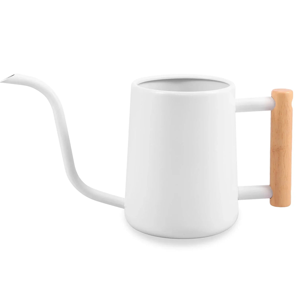 1L Watering Can with Wooden Handle Stainless Steel