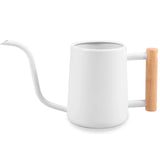 1L Watering Can with Wooden Handle Stainless Steel