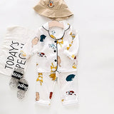 Toddler Girls Silk Satin Pajamas Sets Cartoon Kids