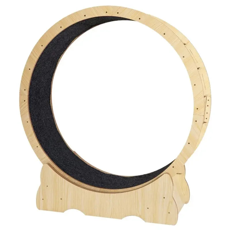 Interactive Cat Running Wheel for Indoor Exercise and