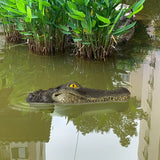 Crocodile Head Courtyard Pond Floating Animal Ornaments Park