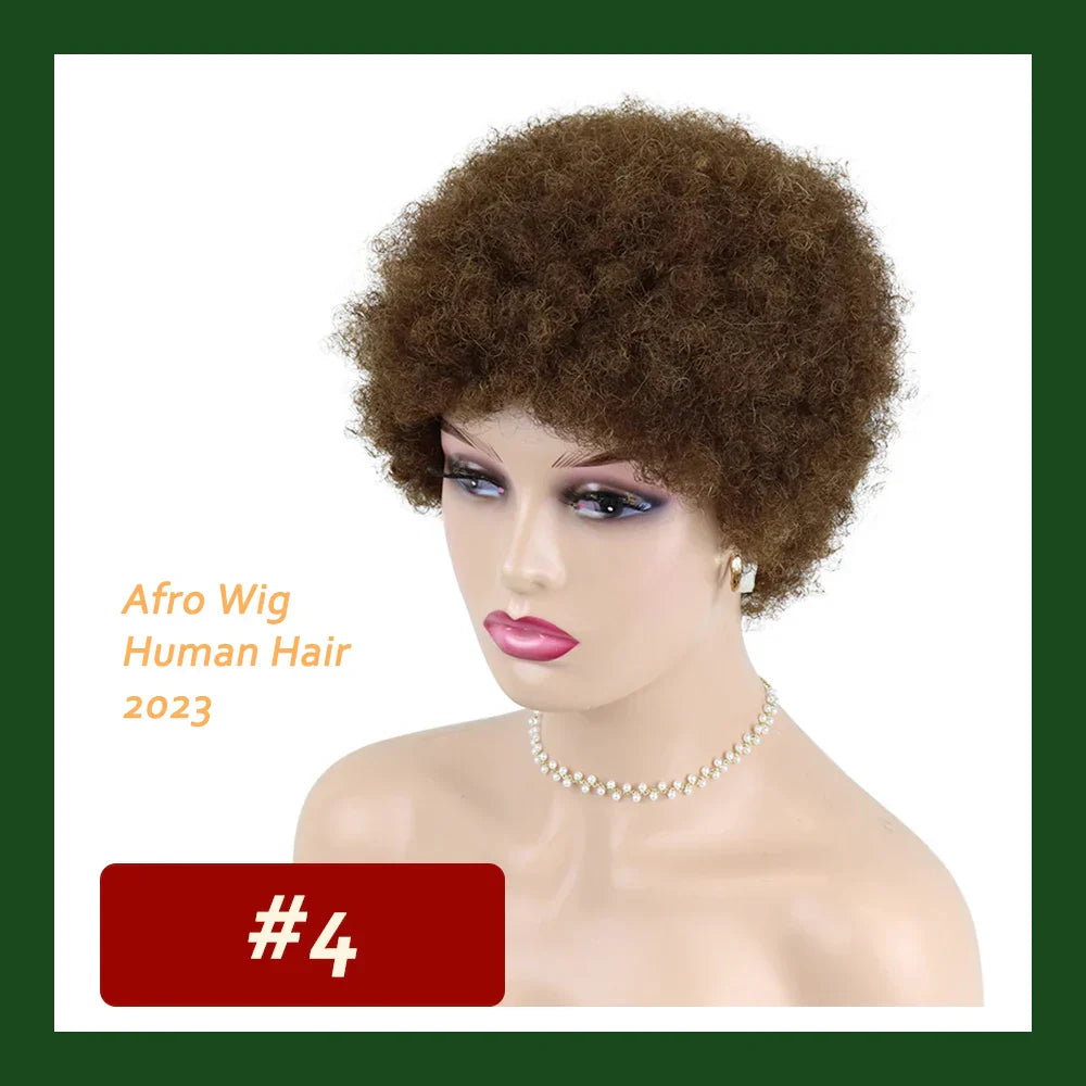 Kinky Curly Wigs Short Wigs for Black Women