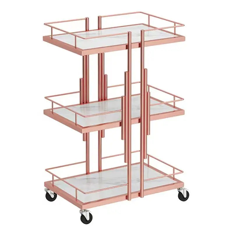 Beauty Cart Beauty Salon Special Storage Rack Light