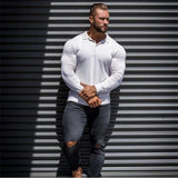 Brand Polo-Shirts Long Sleeve Male Cotton Solid Fitness